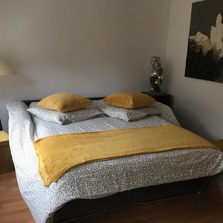 La Sinne Appartement 2 Pieces Avec Garage Μυλούζη Εξωτερικό φωτογραφία